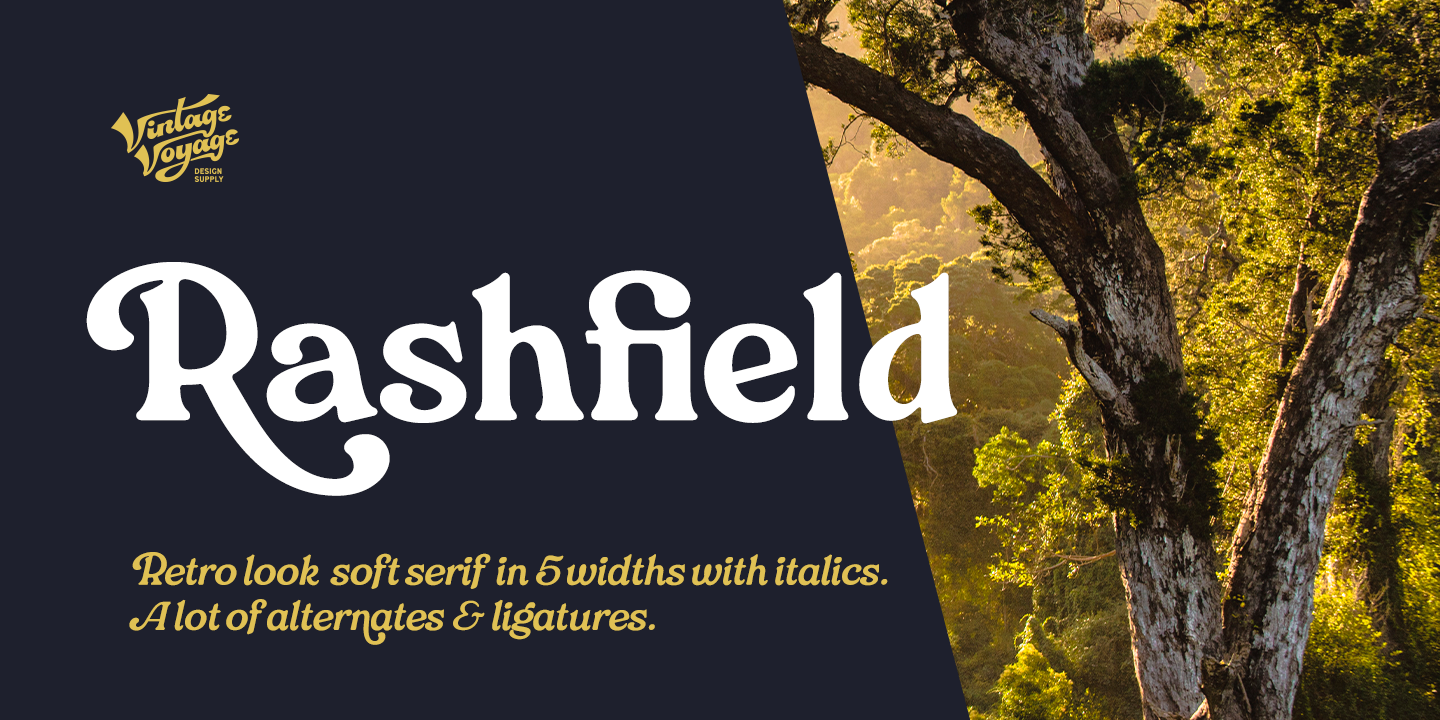 Przykład czcionki VVDS Rashfield Light Italic